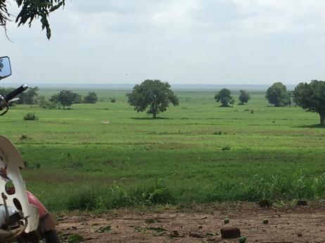 Farm for sale in Lungongole, Ifakara, Morogoro acre 374.7 Farm for sale in Lungongole, Ifakara, Morogoro acre 374.7
