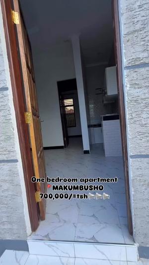 Apartment ya chumba kimoja inapangishwa Makumbusho, Dar Es Salaam Apartment ya chumba kimoja inapangishwa Makumbusho, Dar Es Salaam