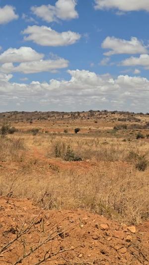 Farm for Sale in Matumbulu, Dodoma (3 acre) Farm for Sale in Matumbulu, Dodoma (3 acre)