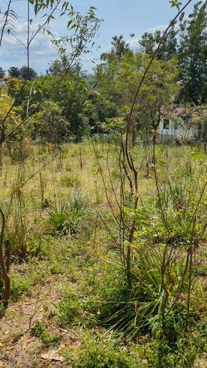 Kiwanja kinauzwa Goba Kulangwa, Dar Es Salaam sqm 1200 Kiwanja kinauzwa Goba Kulangwa, Dar Es Salaam sqm 1200