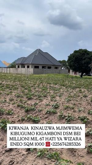 Kiwanja kinauzwa Mjimwema Kibugumo, Dar Es Salaam sqm 1000 Kiwanja kinauzwa Mjimwema Kibugumo, Dar Es Salaam sqm 1000