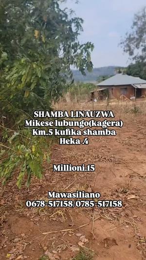 Shamba linauzwa Mikese Lubungo ya Kagera, Morogoro Shamba linauzwa Mikese Lubungo ya Kagera, Morogoro