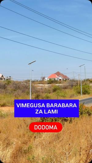 Viwanja (Residential/Commercial) vinauzwa Njedengwa Investment, Dodoma (6000 sqm) Viwanja (Residential/Commercial) vinauzwa Njedengwa Investment, Dodoma (6000 sqm)