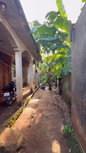 Nyumba ya vyumba vitatu inauzwa Kombeni, Zanzibar - Unguja South (3828 sqm)