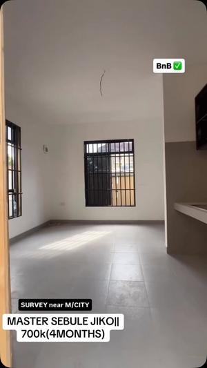 1 Bedroom Apartment for Rent in Survey, Dar Es Salaam 1 Bedroom Apartment for Rent in Survey, Dar Es Salaam