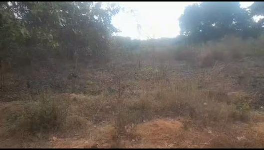 Residential Plot for Sale in Kongowe-Kibaha, Pwani (12 acre)
