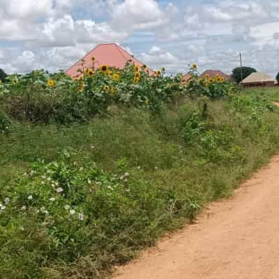 Kiwanja kinauzwa Iyumbu Mwinyi, Dodoma (460 sqm)