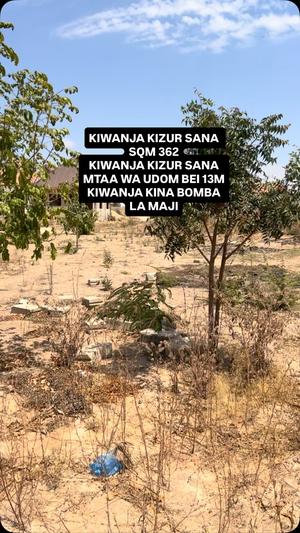 Residential Plot for Sale in Udom, Dodoma (362 sqm) Residential Plot for Sale in Udom, Dodoma (362 sqm)