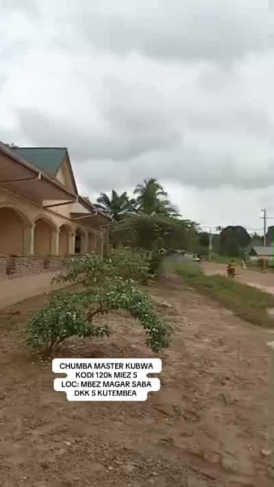 1 Bedroom House for Rent in Mbezi ya Magari Saba, Dar Es Salaam 1 Bedroom House for Rent in Mbezi ya Magari Saba, Dar Es Salaam