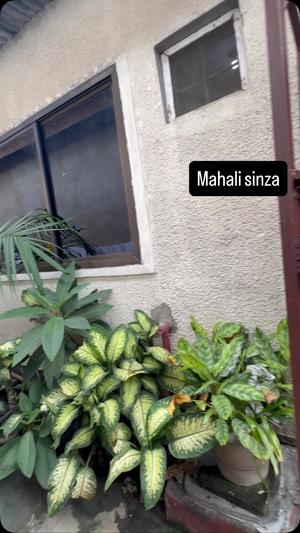 Nyumba ya chumba kimoja inapangishwa Sinza, Dar Es Salaam