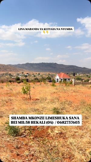 Shamba linauzwa Mkonze Senta, Dodoma (4 acre) Shamba linauzwa Mkonze Senta, Dodoma (4 acre)