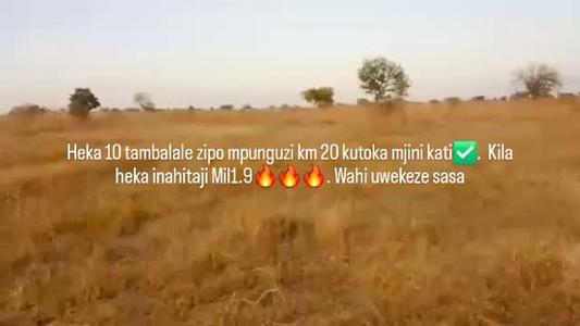 Farm for Sale in Mpunguzi, Dodoma (10 acre) Farm for Sale in Mpunguzi, Dodoma (10 acre)