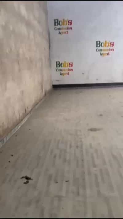 Kiwanja kinauzwa Magomeni, Dar Es Salaam Kiwanja kinauzwa Magomeni, Dar Es Salaam