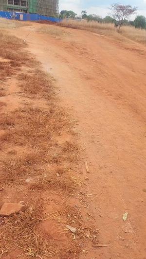 Shamba linauzwa Mlete, Ruvuma (2 acre) Shamba linauzwa Mlete, Ruvuma (2 acre)