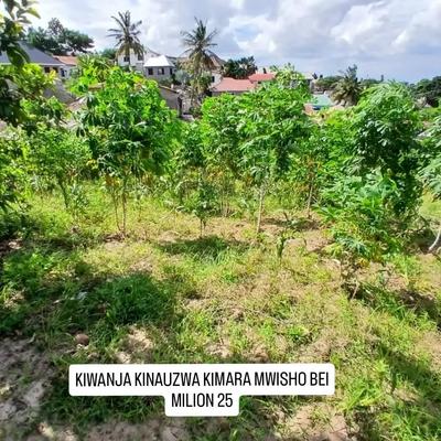 Kiwanja kinauzwa Kimara Mwisho, Dar Es Salaam (400 sqm)