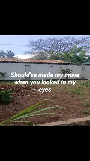 3 Bedrooms House for Rent in Arusha 3 Bedrooms House for Rent in Arusha