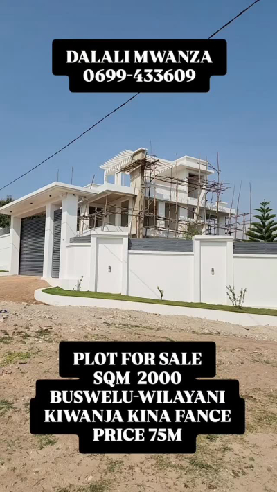 Plot for sale in Buswelu, Mwanza Plot for sale in Buswelu, Mwanza