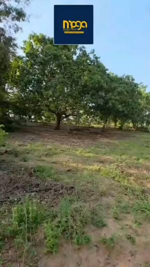 Kiwanja kinauzwa Madale Mbopo, Dar Es Salaam sqm 1200 Kiwanja kinauzwa Madale Mbopo, Dar Es Salaam sqm 1200