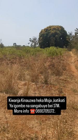 Kiwanja (Commercial Plot) kinauzwa Igombe Na Sangabuye, Mwanza (1 acre) Kiwanja (Commercial Plot) kinauzwa Igombe Na Sangabuye, Mwanza (1 acre)