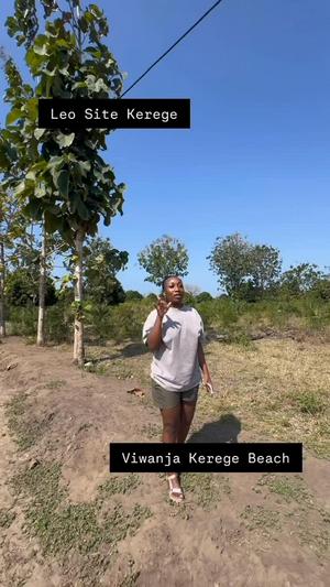 Beach Plots zinazouzwa Kerege Beach, Pwani Beach Plots zinazouzwa Kerege Beach, Pwani
