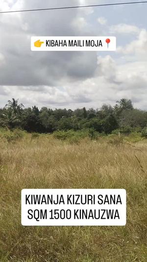 Kiwanja kinauzwa Kibaha Maili Moja, Pwani sqm 1500 Kiwanja kinauzwa Kibaha Maili Moja, Pwani sqm 1500