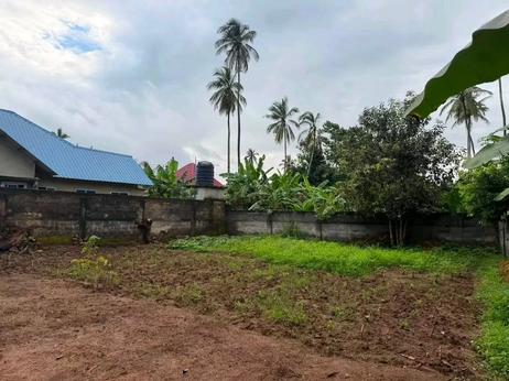 Kiwanja kinauzwa Mfenesini, Zanzibar - Unguja North sqm 800 Kiwanja kinauzwa Mfenesini, Zanzibar - Unguja North sqm 800