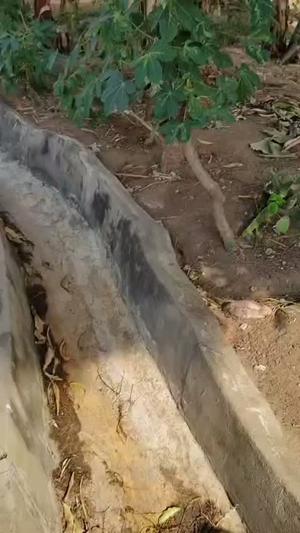 Nyumba ya vyumba vinne inauzwa Kinyerezi, Dar Es Salaam (566 sqm) Nyumba ya vyumba vinne inauzwa Kinyerezi, Dar Es Salaam (566 sqm)