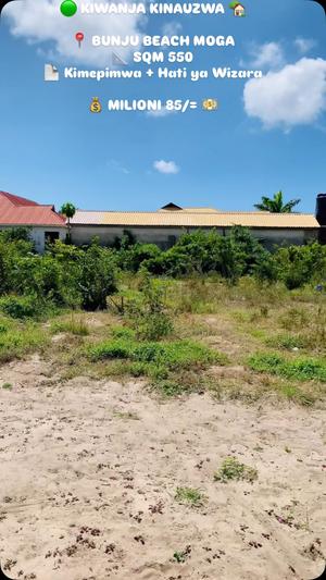 Plot for sale in Bunju Beach Moga, Dar Es Salaam sqm 550 Plot for sale in Bunju Beach Moga, Dar Es Salaam sqm 550