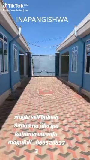 1 Bedroom House for Rent in Majengo, Dodoma 1 Bedroom House for Rent in Majengo, Dodoma