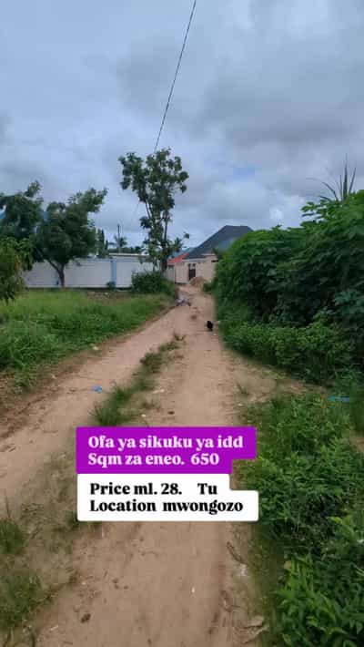 Plot for sale in Kigamboni, Dar Es Salaam