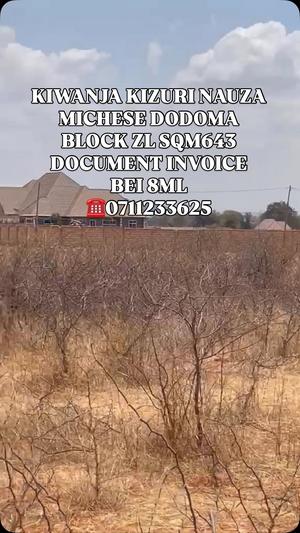 Kiwanja kinauzwa Michese, Dodoma (643 sqm) Kiwanja kinauzwa Michese, Dodoma (643 sqm)