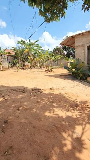 Residential/Commercial Plot for Sale in Kifuru Dangote, Dar Es Salaam (2050 sqm) Residential/Commercial Plot for Sale in Kifuru Dangote, Dar Es Salaam (2050 sqm)