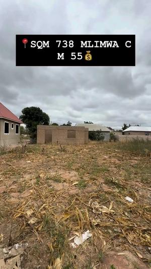 Kiwanja kinauzwa Mlimwa C, Dodoma sqm 738 Kiwanja kinauzwa Mlimwa C, Dodoma sqm 738