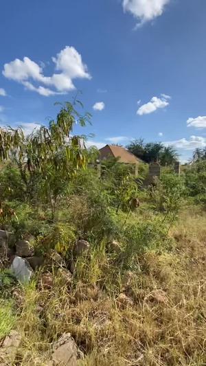 Plot for sale in Area D, Dodoma sqm 1300