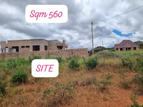 Residential Plot for Sale in Ntyuka, Dodoma (560 sqm)