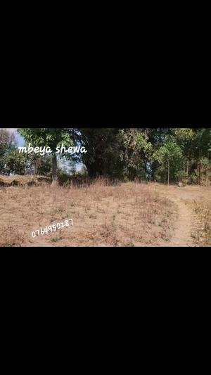 Kiwanja kinauzwa Mbeya Shewa Kiwanja kinauzwa Mbeya Shewa