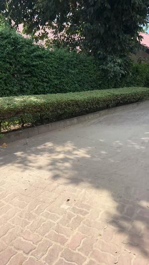 Ofisi inapangishwa Sinza, Dar Es Salaam