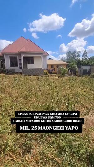 Residential Plot for Sale in Kibamba Gogoni, Dar Es Salaam (700 sqm)