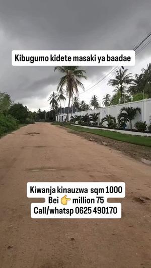 Kiwanja kinauzwa Kibugumo Kidete, Kigamboni, Dar Es Salaam sqm 1000