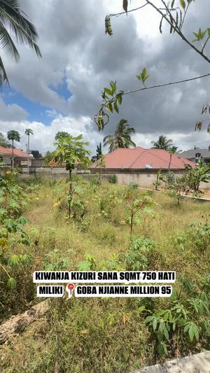 Kiwanja kinauzwa Goba Njianne, Dar Es Salaam (750 sqm)