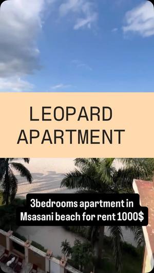 Apartment ya vyumba vitatu inapangishwa Mikocheni Beach, Dar Es Salaam Apartment ya vyumba vitatu inapangishwa Mikocheni Beach, Dar Es Salaam