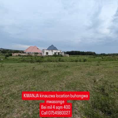 Plots for sale in Buhongwa, Mwanza