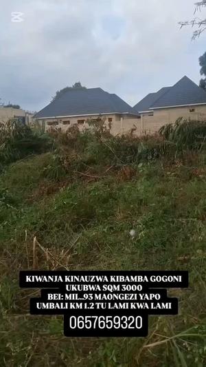 Residential Plot for Sale in Kibamba Gogoni, Dar Es Salaam (3000 sqm)