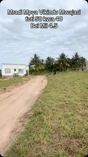 Viwanja vinauzwa Vikindu Mwajasi, Pwani Viwanja vinauzwa Vikindu Mwajasi, Pwani