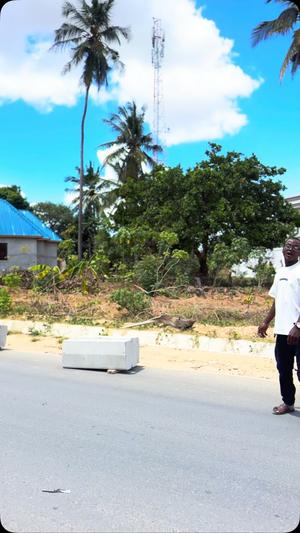 Residential Plot for Sale in Kibada, Dar Es Salaam (1250 sqm) Residential Plot for Sale in Kibada, Dar Es Salaam (1250 sqm)