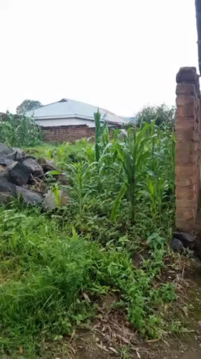 Kiwanja kinauzwa Iwambi, Mbeya Kiwanja kinauzwa Iwambi, Mbeya