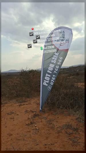 Kiwanja (Residential/Commercial) kinauzwa Itega, Dodoma (3200 sqm)