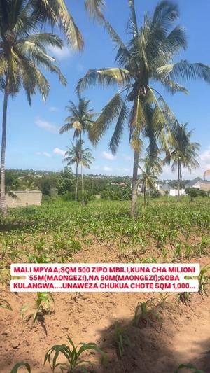 Viwanja vinauzwa Goba Kulangwa, Dar Es Salaam sqm 500