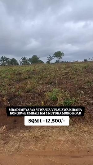 Viwanja vinauzwa Kibaha Kongowe, Pwani sqm 500 Viwanja vinauzwa Kibaha Kongowe, Pwani sqm 500