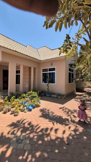 Apartment ya vyumba vitatu inapangishwa Buhongwa, Mwanza Apartment ya vyumba vitatu inapangishwa Buhongwa, Mwanza
